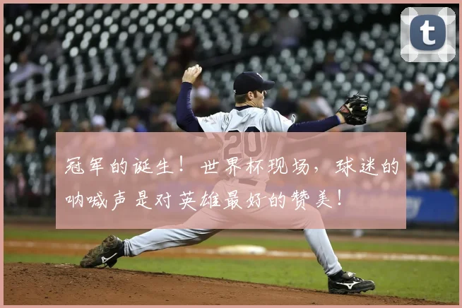 冠军的诞生！世界杯现场，球迷的呐喊声是对英雄最好的赞美！
